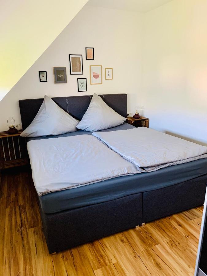 Apartmán Zur Rotbuche Zeltingen-Rachtig Exteriér fotografie